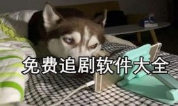八哥爆料赤犬视频大全播放,赤犬视频大全热力播放，精彩瞬间一网打尽